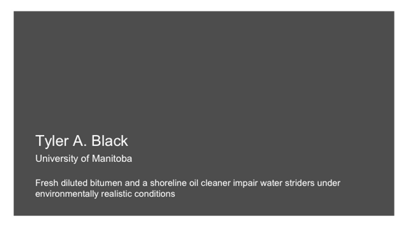 Fresh diluted bitumen and a shoreline oil cleaner impair water striders under environmentally realistic conditions